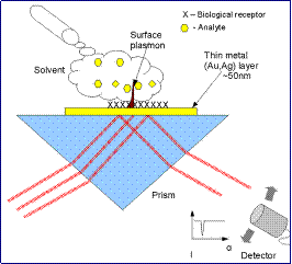 Nanoscale Biosensoring