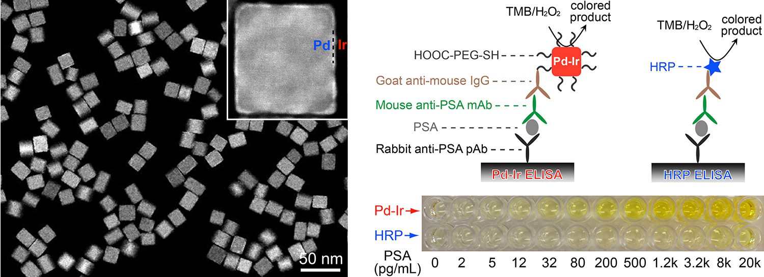 Microscopic view of Pd-Ir nanocubes on the left; inset shows a single nanocube. Right side illustrates Pd-Ir ELISA and HRP ELISA methodologies with corresponding assay results displayed below in a 96-well plate.