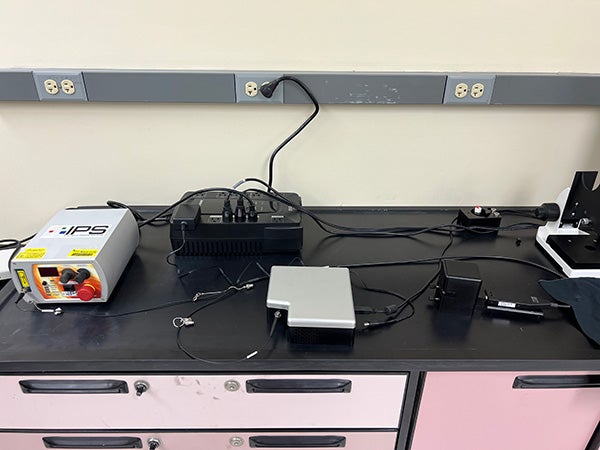 IPS Dual Wavelength Raman System