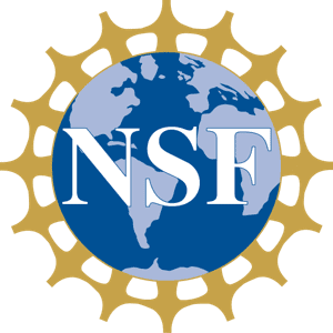NSF logo featuring white "NSF" letters over a blue globe, surrounded by a gold gear-like border.