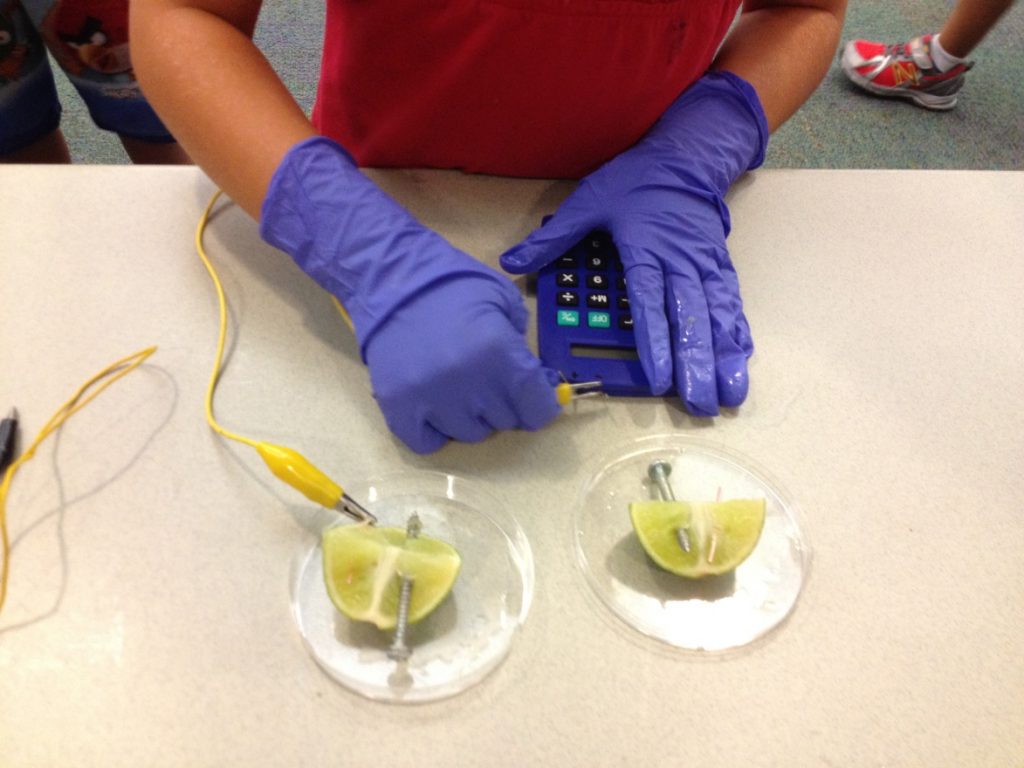 A person wearing protective gloves conducting an experiment with electrodes connected to slices of fruit and a digital multimeter.